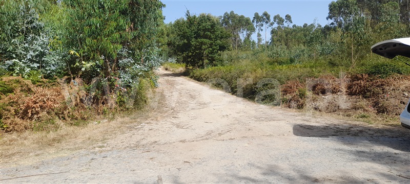 Terreno / Barcelos, Aborim