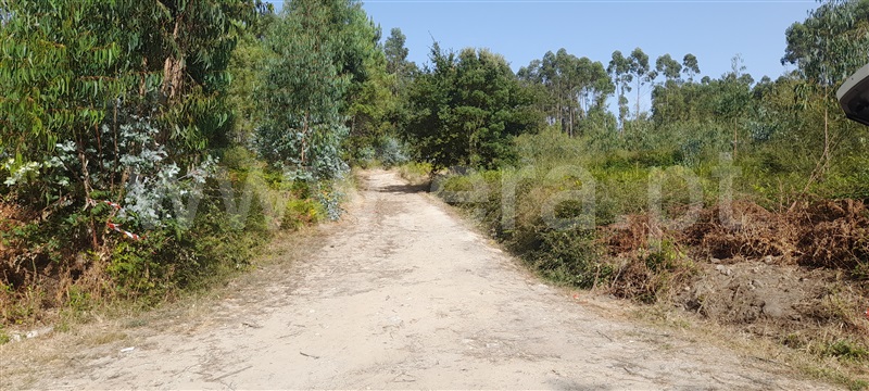 Terreno  Barcelos, Aborim - 1500701 - 2
