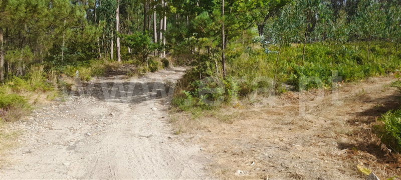 Terreno  Barcelos, Aborim - 1500701 - 3