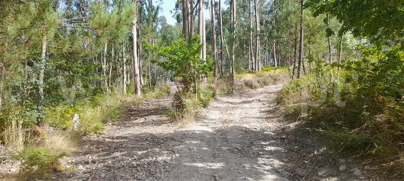 Terreno  Barcelos, Aborim - 1500701 - 4