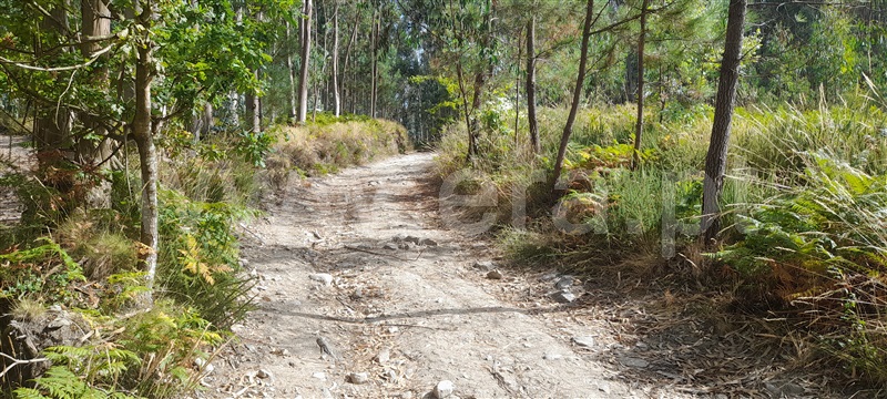 Terreno  Barcelos, Aborim - 1500701 - 5