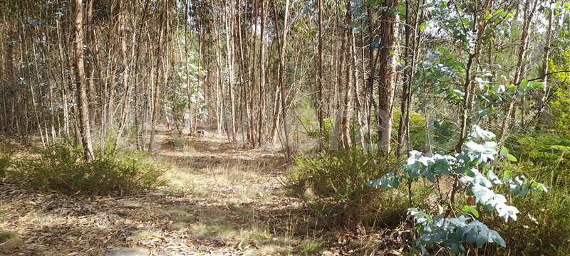 Terreno  Barcelos, Aborim - 1500701 - 7