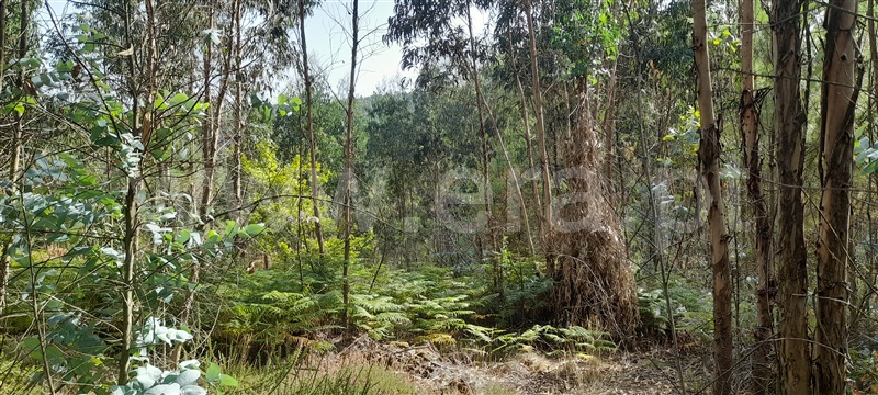 Terreno  Barcelos, Aborim - 1500701 - 8