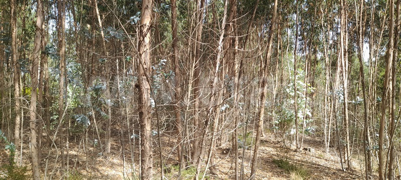 Terreno  Barcelos, Aborim - 1500701 - 10