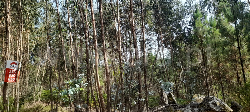 Terreno  Barcelos, Aborim - 1500701 - 11