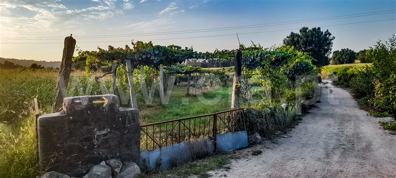 Terreno  Barcelos, Aborim - 1501181 - 4