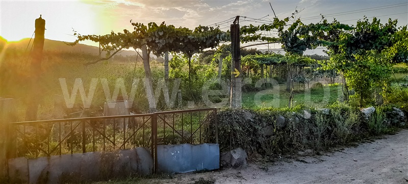 Terreno  Barcelos, Aborim - 1501181 - 5