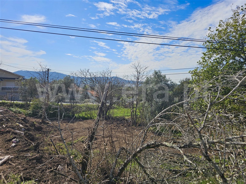Terreno  Barcelos, Adães - 1392529 - 5