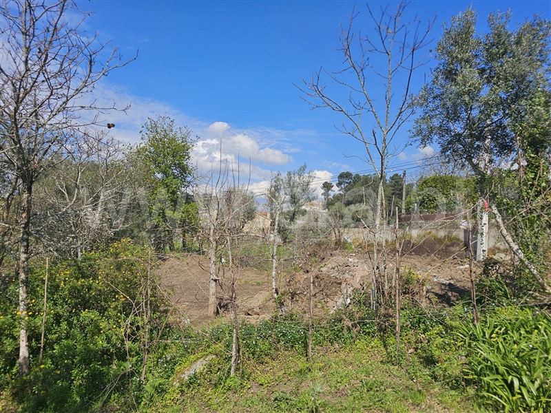 Terreno  Barcelos, Adães - 1392529 - 9