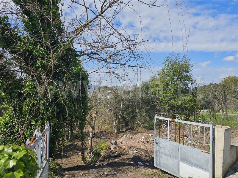 Terreno  Barcelos, Adães - 1392529 - 10