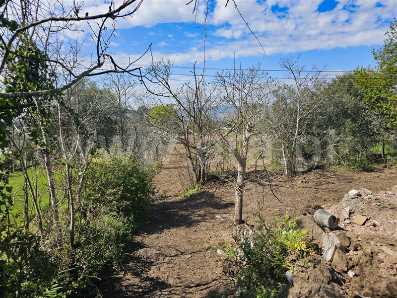 Terreno  Barcelos, Adães - 1392529 - 11