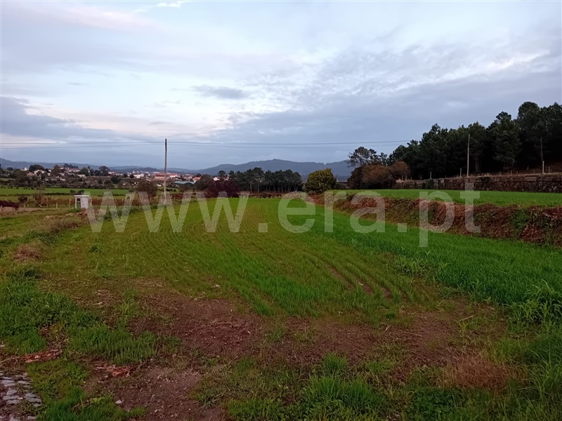 Terreno / Barcelos, Barcelos, Vila Boa e Vila Frescainha (São Martinho e São Pedro)