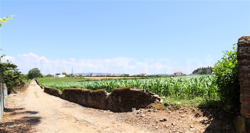 Terreno  Barcelos, Barqueiros - 1250900 - 2