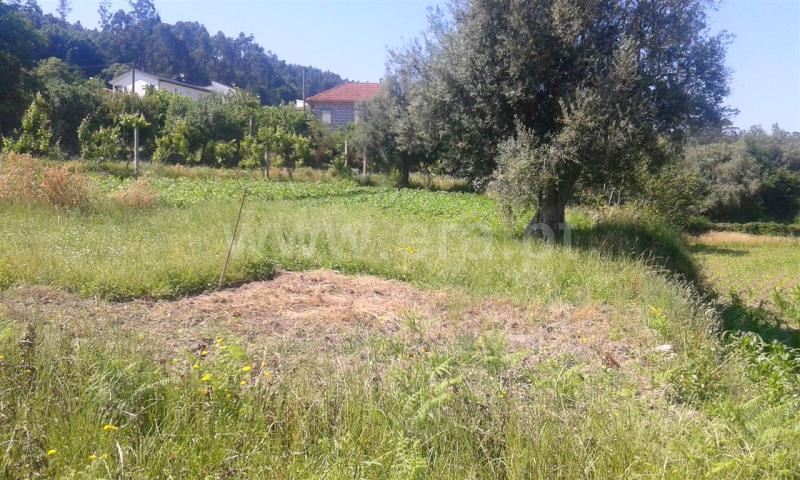 Terreno  Barcelos, Campo e Tamel (São Pedro Fins) - 821168 - 4