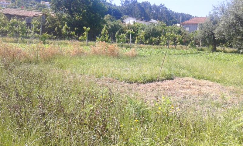 Terreno  Barcelos, Campo e Tamel (São Pedro Fins) - 821168 - 9