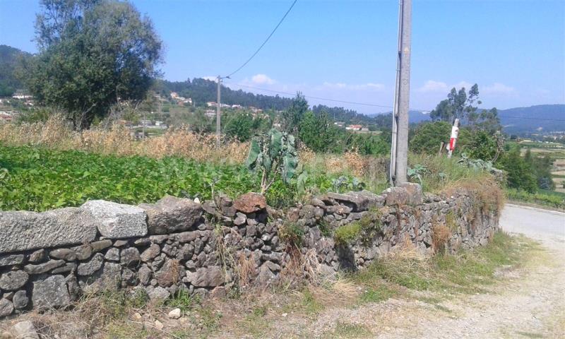 Terreno / Barcelos, Campo e Tamel (São Pedro Fins)