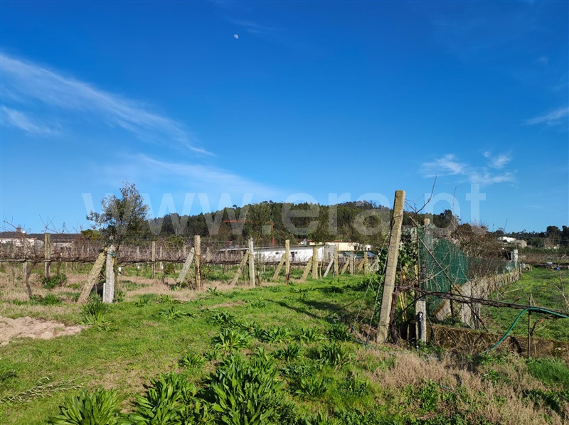 Terreno  Barcelos, Creixomil e Mariz - 1387032 - 9