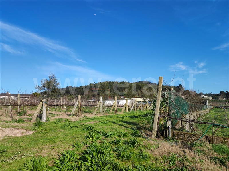 Terreno  Barcelos, Creixomil e Mariz - 1387032 - 11