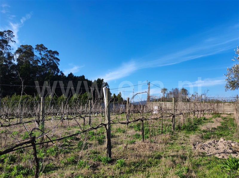 Terreno  Barcelos, Creixomil e Mariz - 1387032 - 13