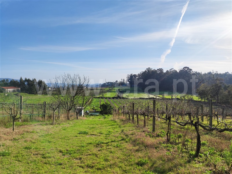 Terreno  Barcelos, Creixomil e Mariz - 1387032 - 14