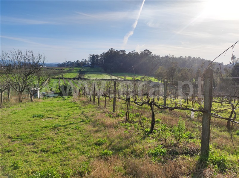 Terreno  Barcelos, Creixomil e Mariz - 1387032 - 15