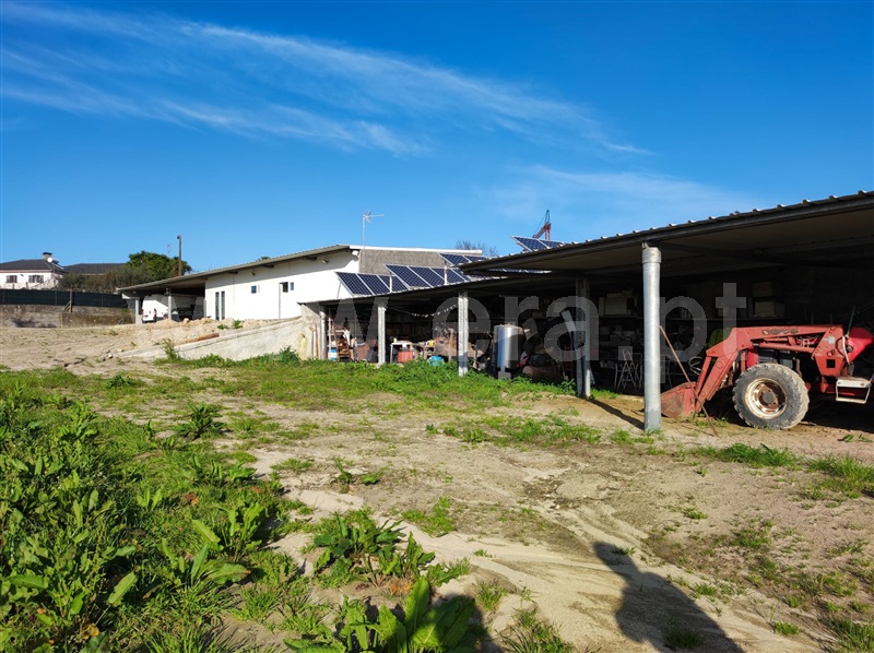Terreno  Barcelos, Creixomil e Mariz - 1387032 - 16