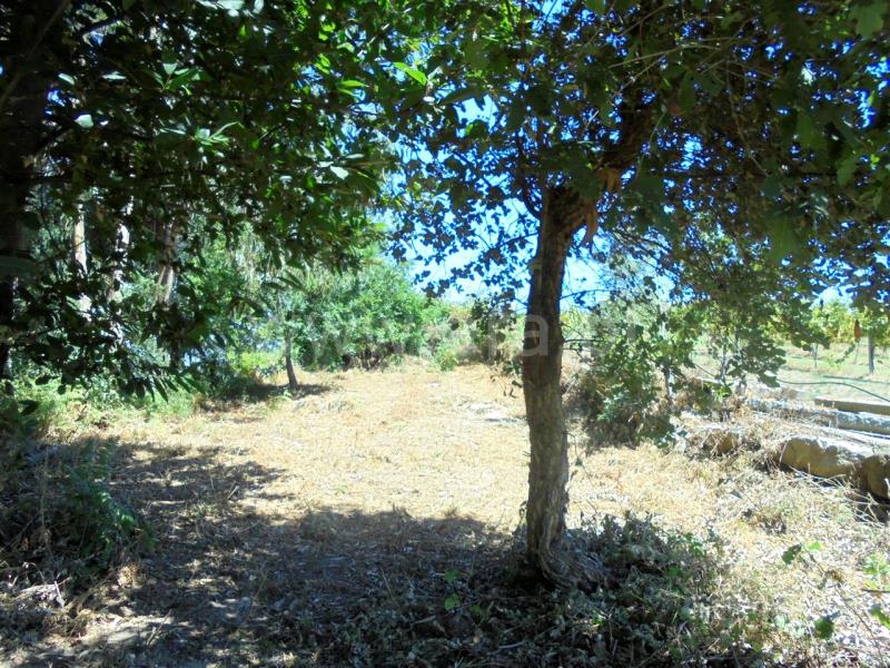 Terreno  Barcelos, Creixomil e Mariz - 840237 - 2