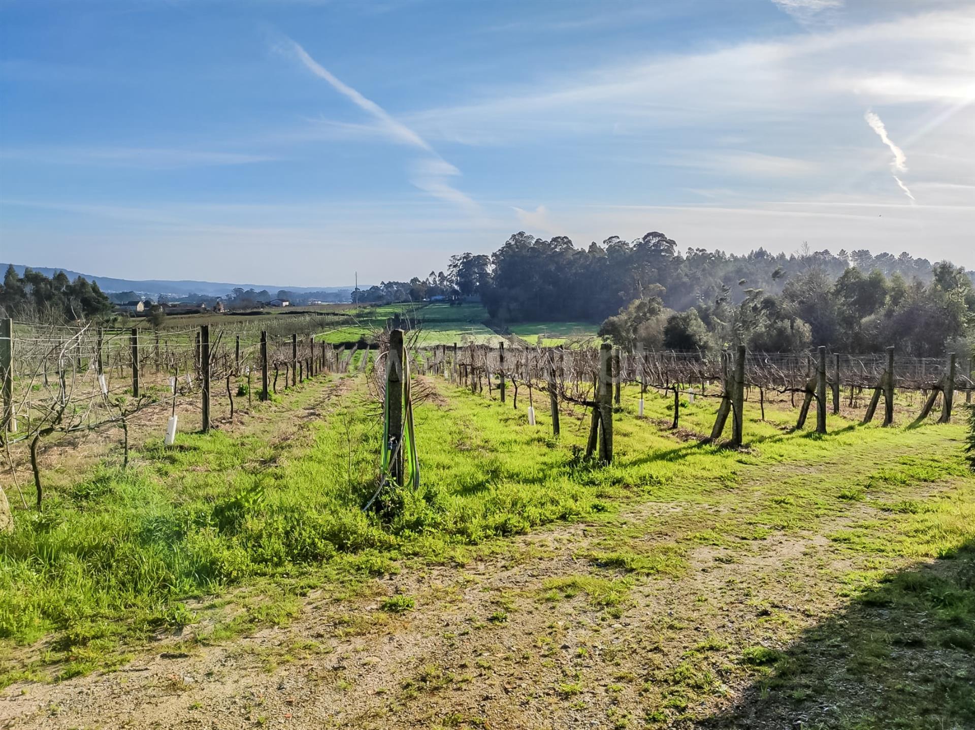 Land for sale in Barcelos, Portugal — €110,000