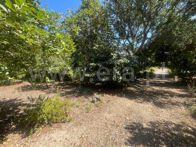 Terreno  Barcelos, Durrães e Tregosa - 1504622 - 2