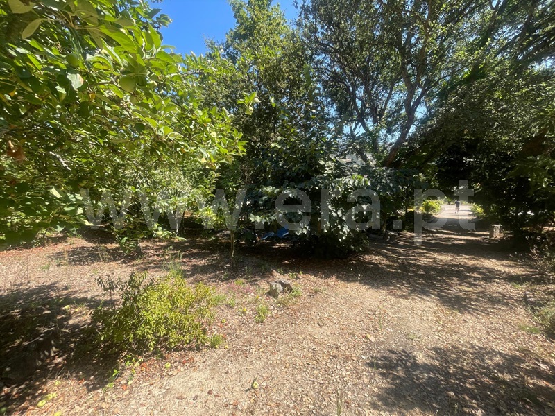 Terreno  Barcelos, Durrães e Tregosa - 1504622 - 3
