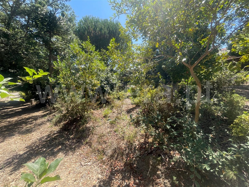 Terreno  Barcelos, Durrães e Tregosa - 1504622 - 5
