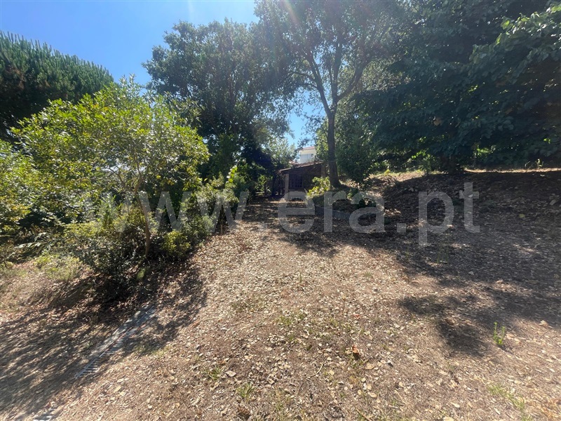 Terreno  Barcelos, Durrães e Tregosa - 1504622 - 6