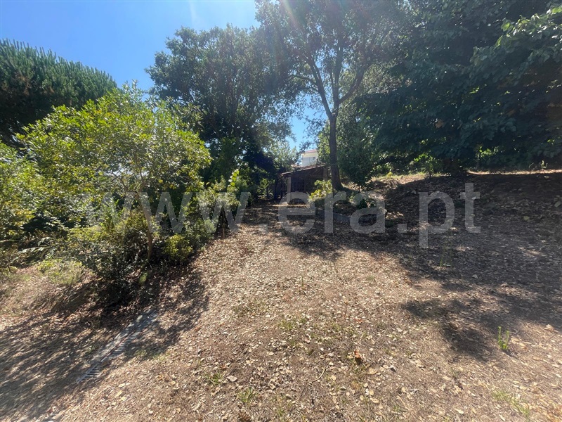 Terreno  Barcelos, Durrães e Tregosa - 1504622 - 7