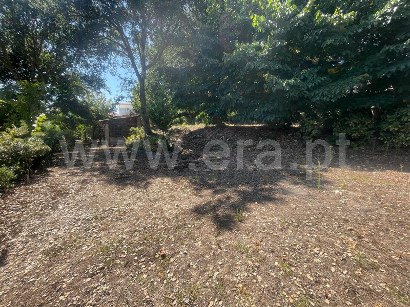 Terreno  Barcelos, Durrães e Tregosa - 1504622 - 8