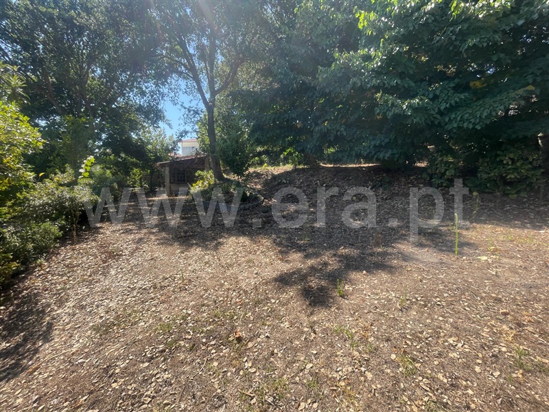 Terreno  Barcelos, Durrães e Tregosa - 1504622 - 9