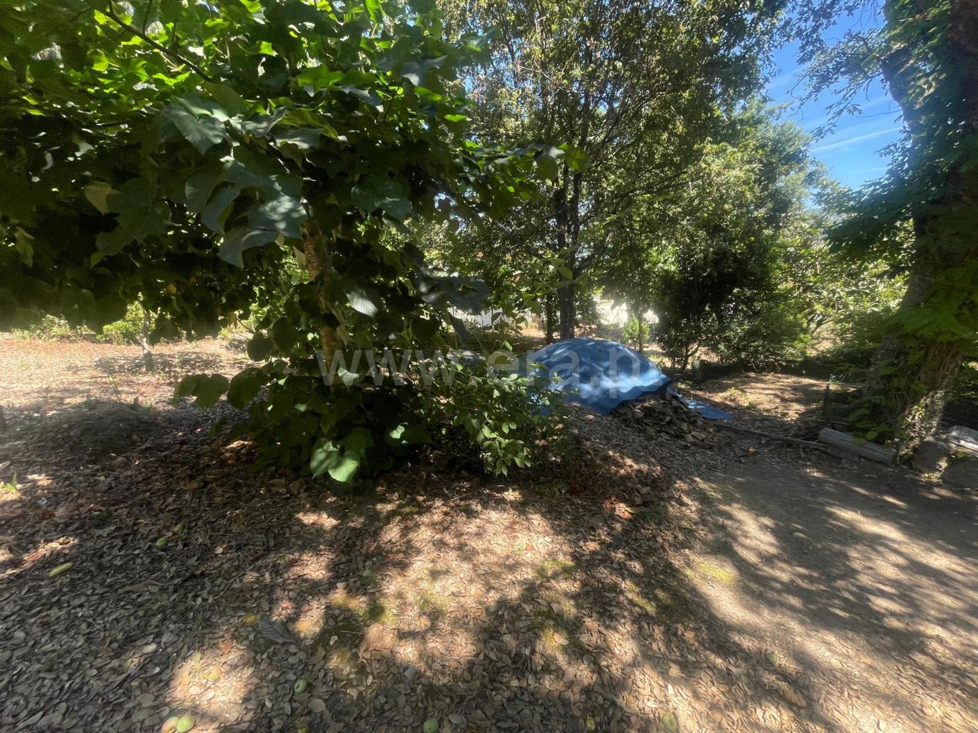 Land for sale in Barcelos, Portugal — €71,000