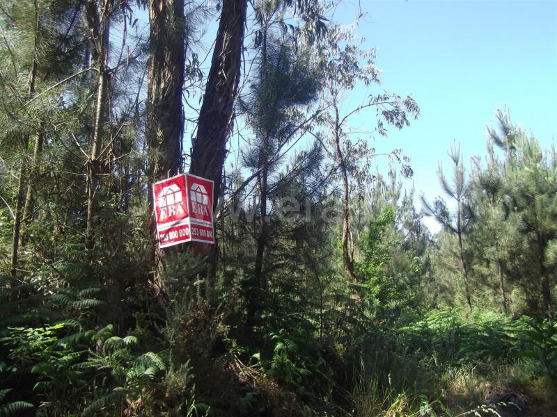 Terreno / Barcelos, Galegos (São Martinho)