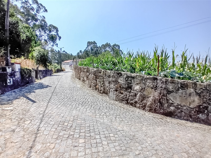Terreno  Barcelos, Macieira de Rates - 1418540 - 3