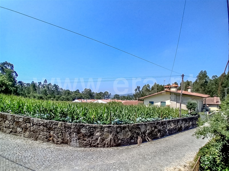 Terreno / Barcelos, Macieira de Rates