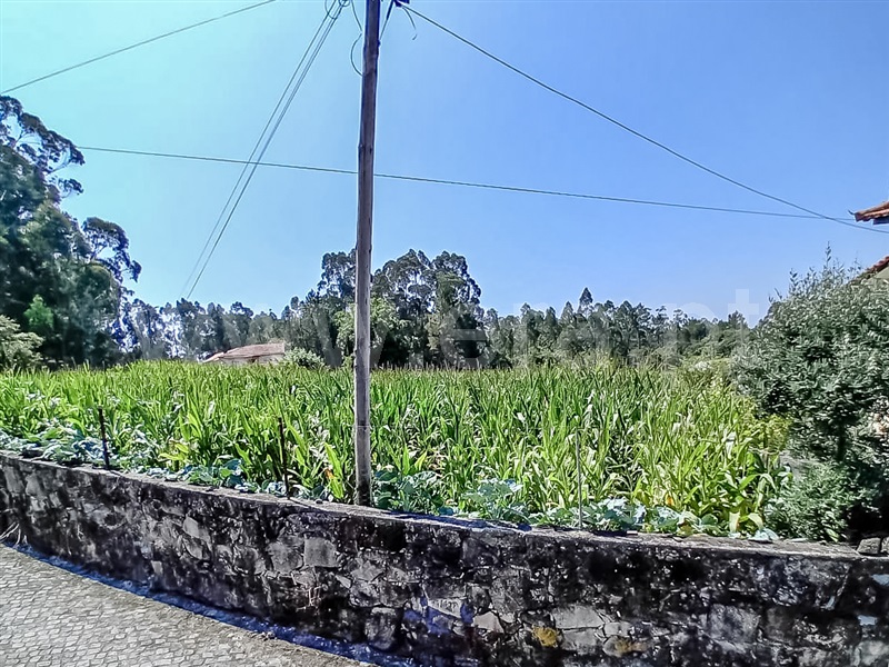 Terreno  Barcelos, Macieira de Rates - 1418540 - 5