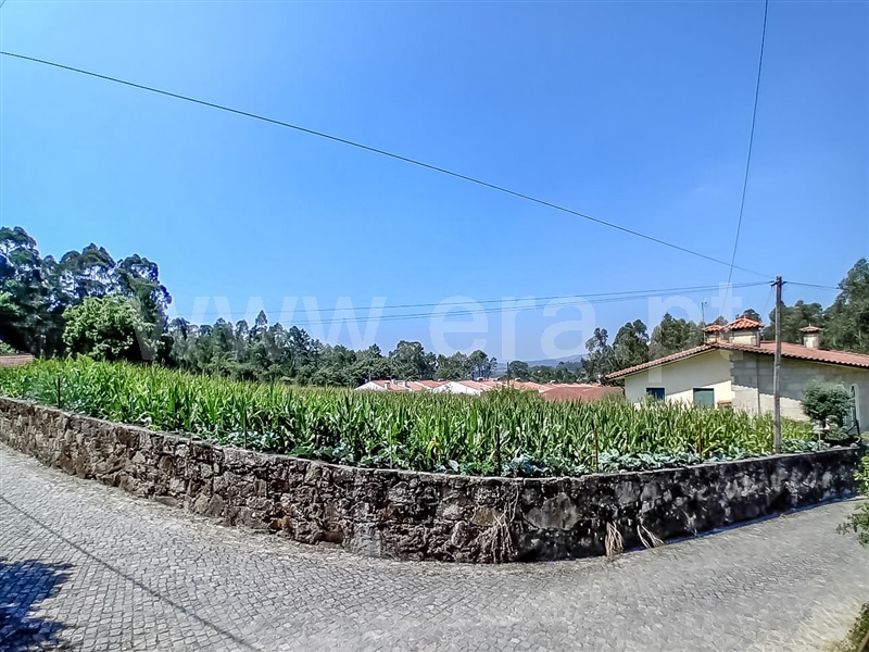 Terreno  Barcelos, Macieira de Rates - 1418540 - 6