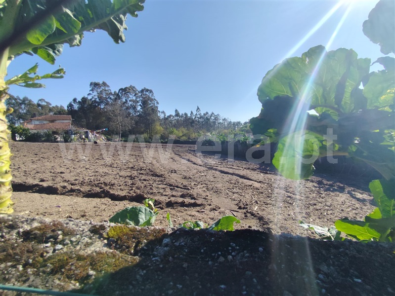 Terreno  Barcelos, Macieira de Rates - 1418540 - 7
