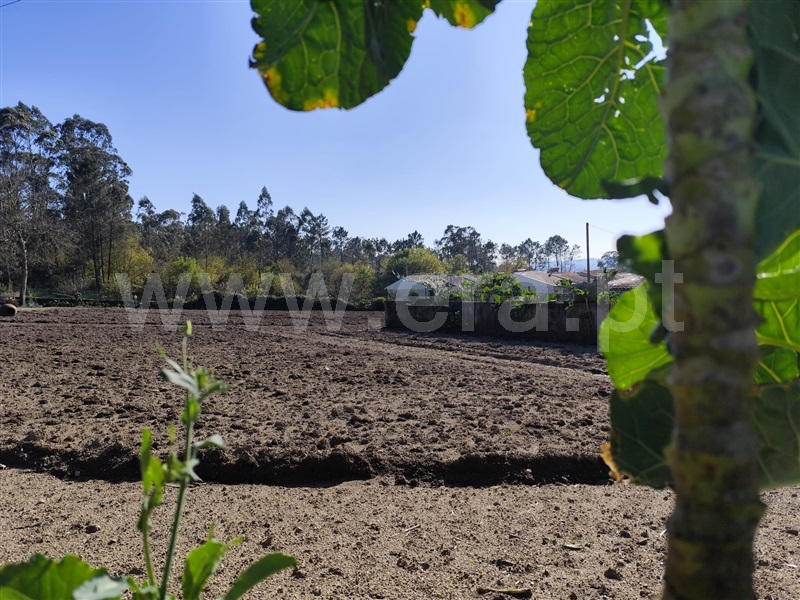 Terreno  Barcelos, Macieira de Rates - 1418540 - 8