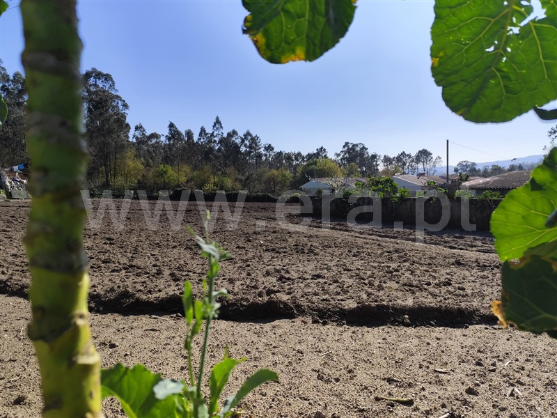 Terreno  Barcelos, Macieira de Rates - 1418540 - 9