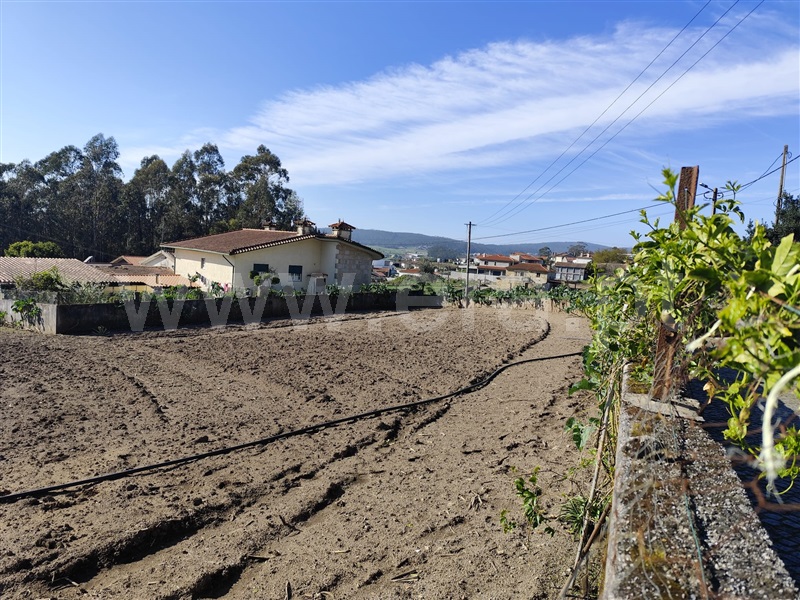 Terreno  Barcelos, Macieira de Rates - 1418540 - 10