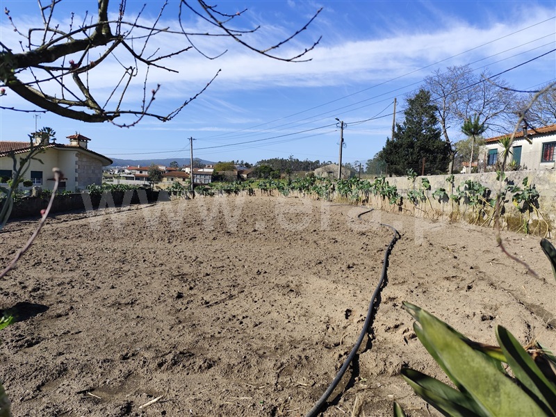 Terreno  Barcelos, Macieira de Rates - 1418540 - 11