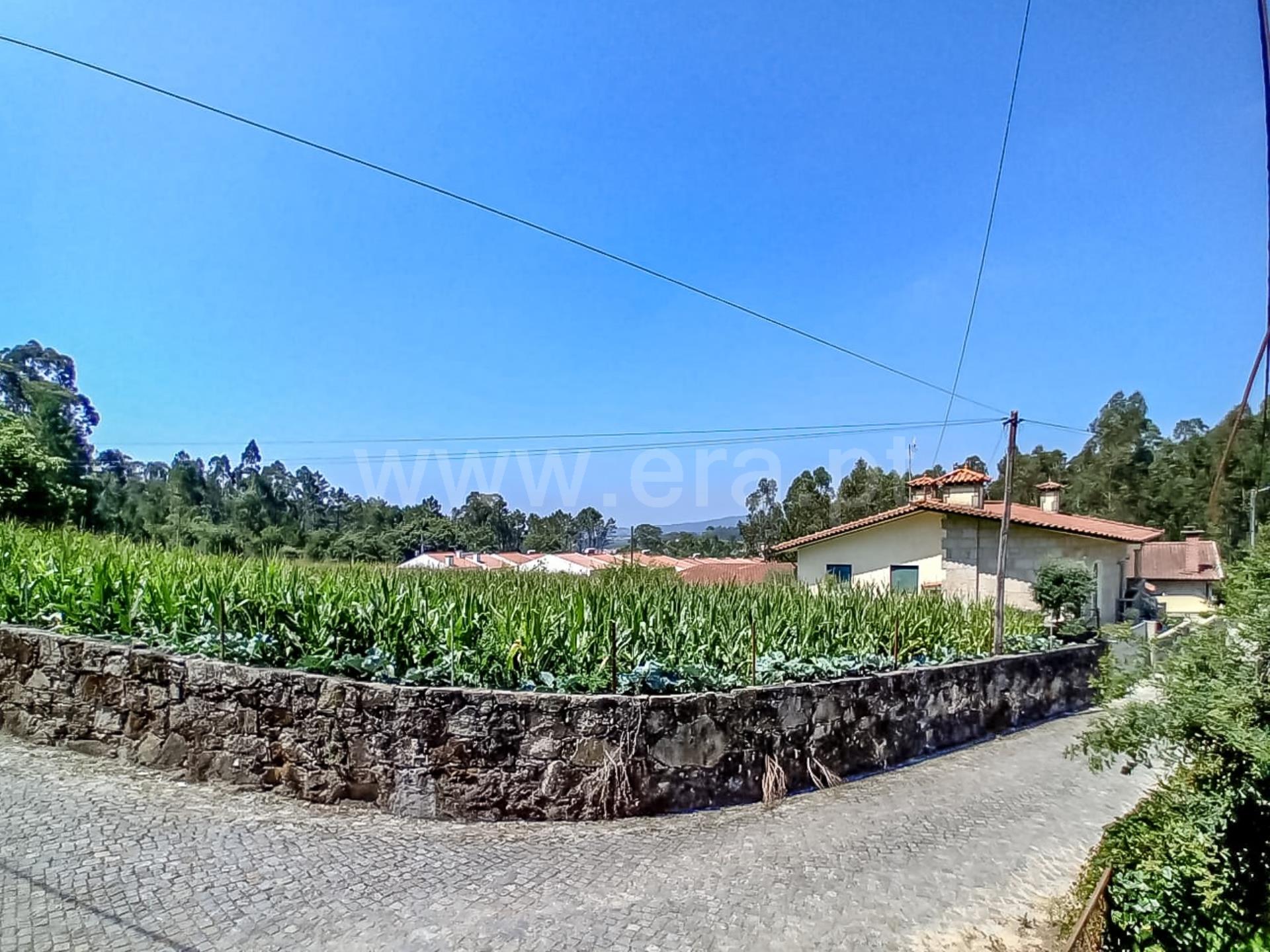 Land for sale in Barcelos, Portugal — €58,000