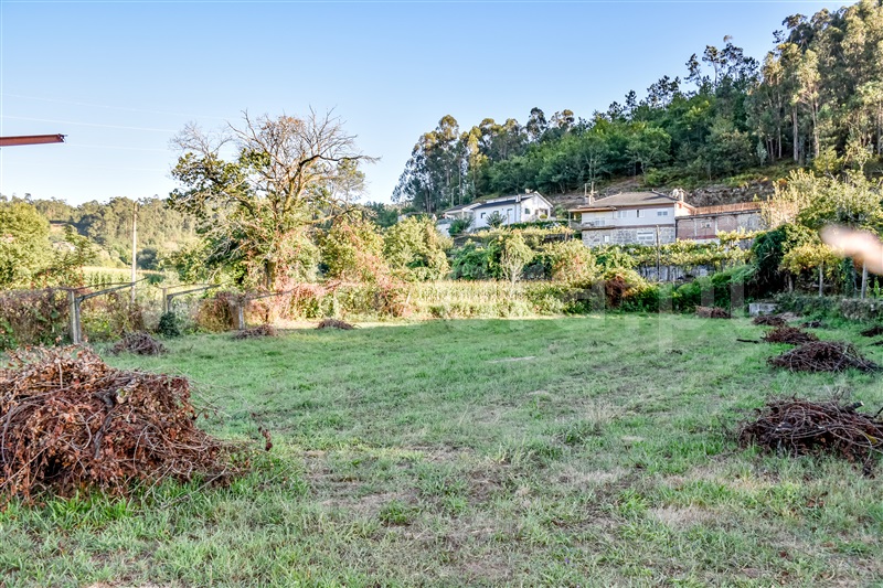 Terreno  Barcelos, Panque - 1347498 - 1