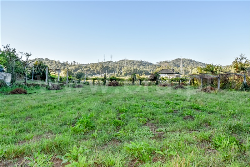 Terreno / Barcelos, Panque