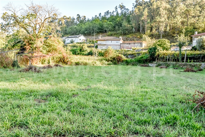 Terreno  Barcelos, Panque - 1347498 - 4